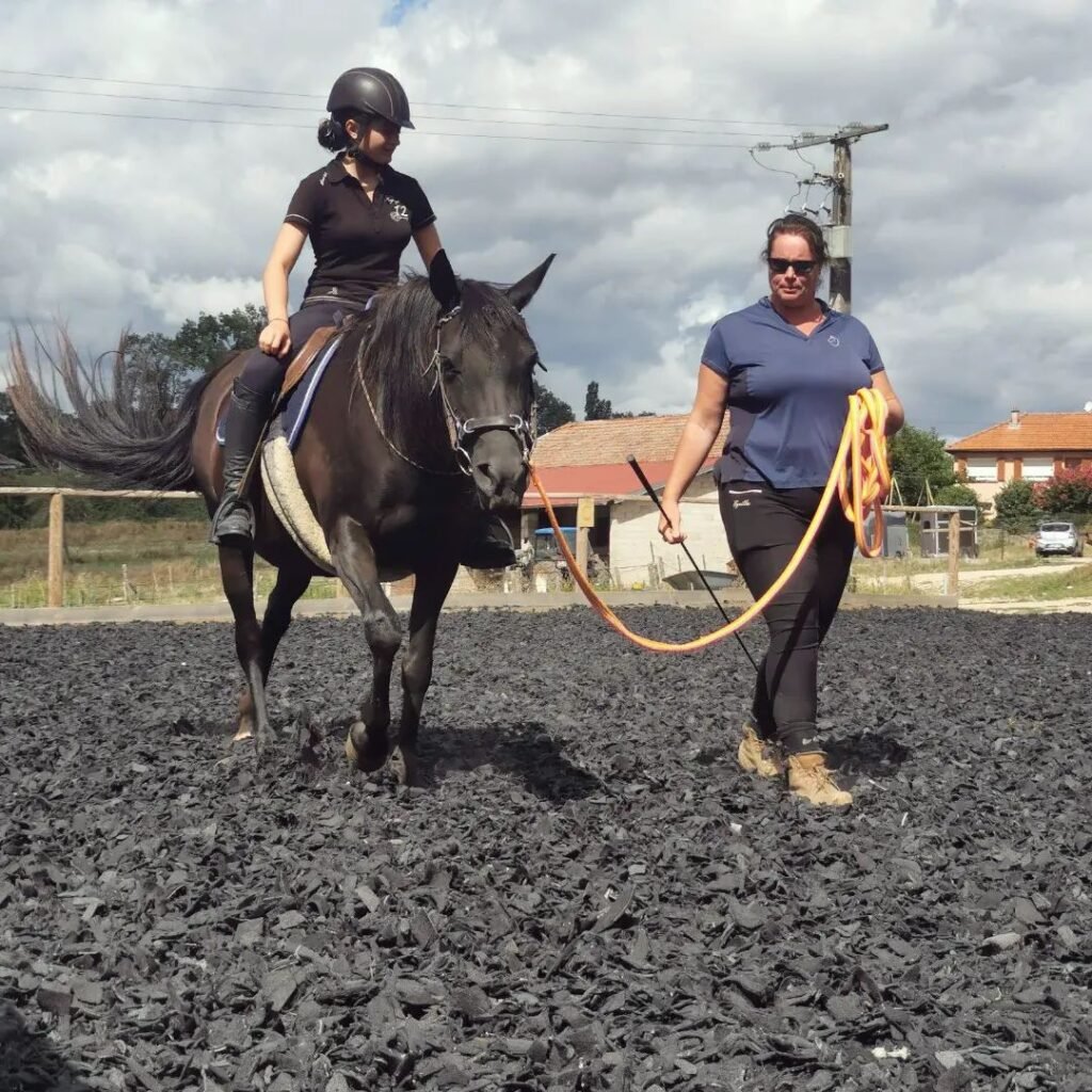 Se faire accompagner pour débourrer son cheval Débourrer son cheval Créer du lien pendant le débourrage de son cheval