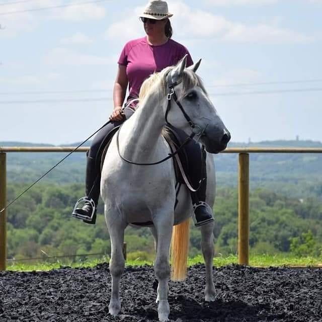 Équitation Raisonnée, Cours d'équitation dans l'Isère